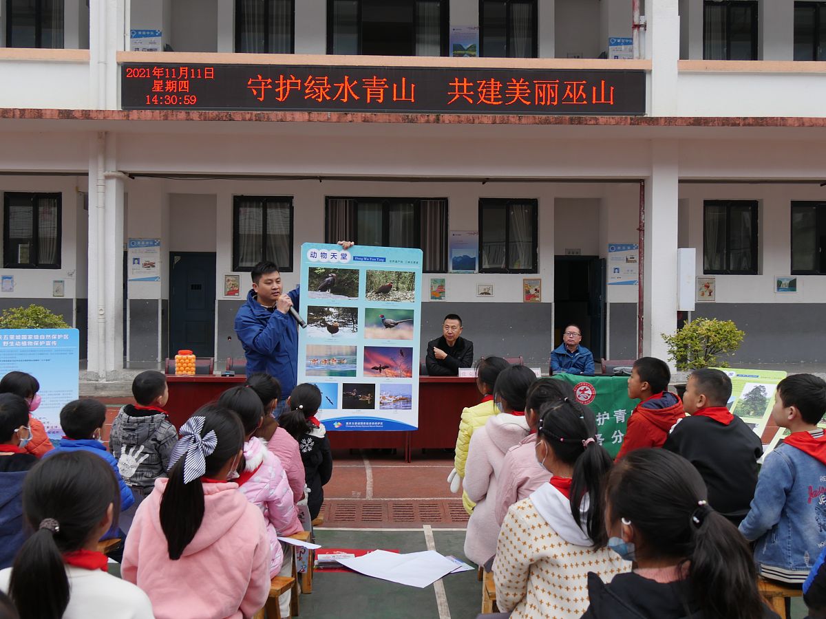 2021年11月11日,在重庆五里坡国家级自然保护区周边的巫山县当阳乡当