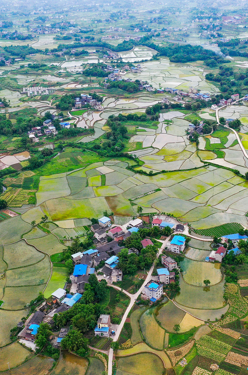 马来西亚双溪拉亚村 乡村振兴所依赖的条件