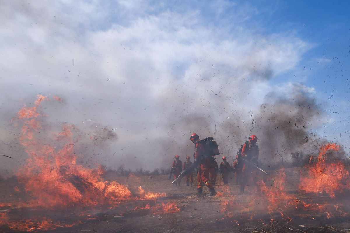 兵犹火也，不戢自焚：士兵的控制与纪律
