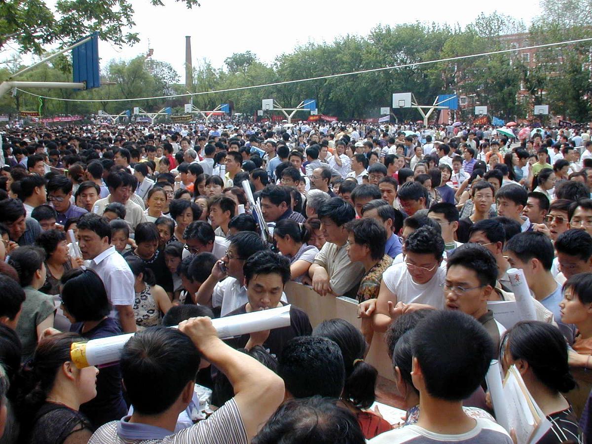 东北林业大学的物流工程专业就业前景