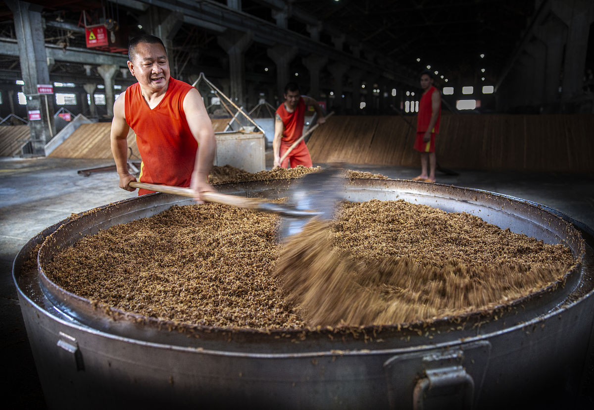 白酒制曲工艺是什么