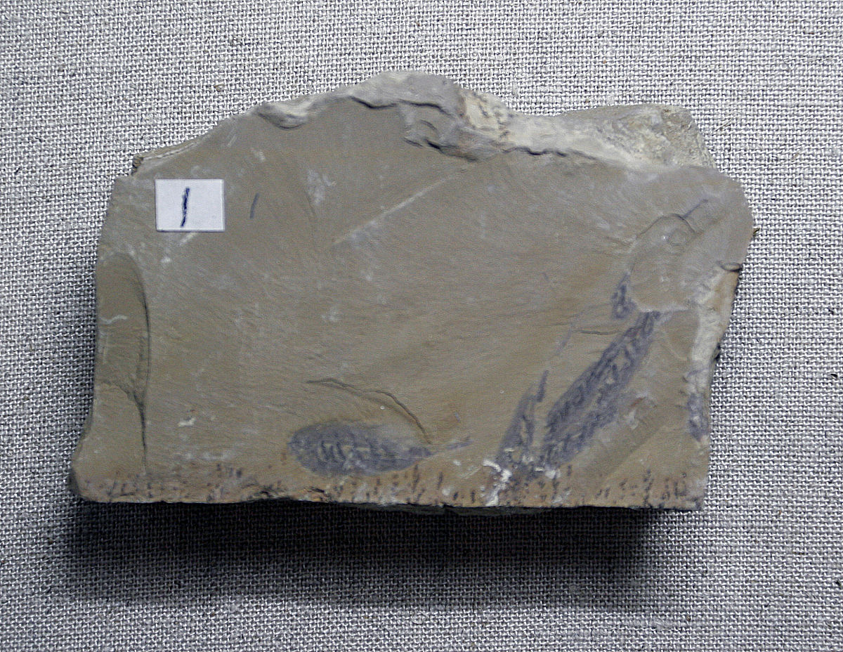 石质文物人工老化机理研究综述：探究文物衰变的奥秘