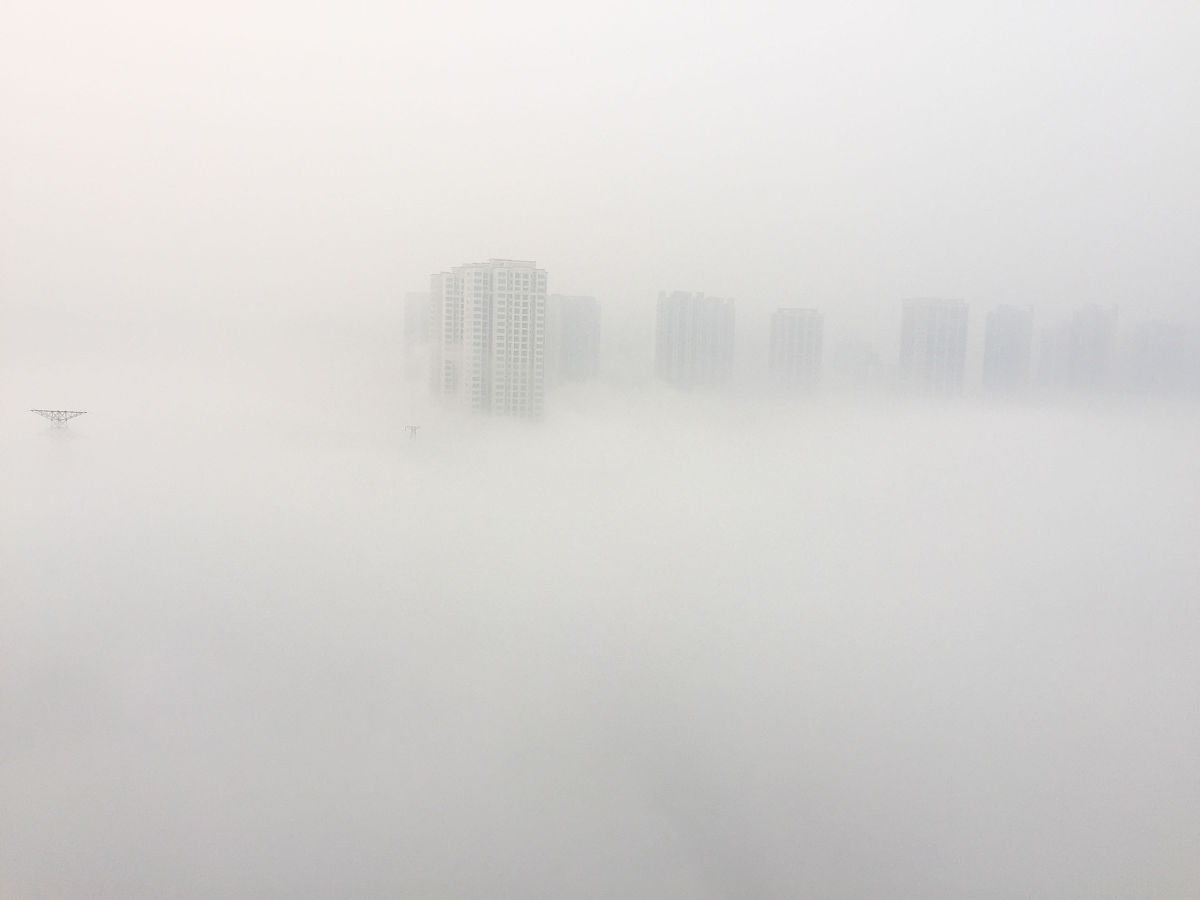 关于迷雾的一千字文章