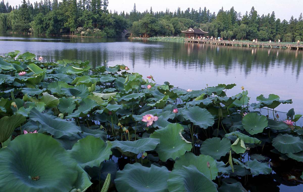 关于杭州文旅融合短视频策划的专题标题标题需要针对杭州的不同方面
