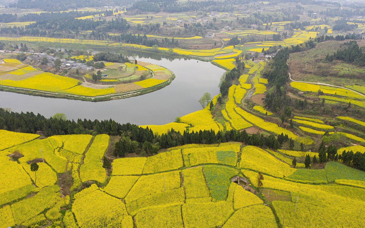 德阳职业技术学院排名上升至全国第64名，电子商务专业位列全国第16名