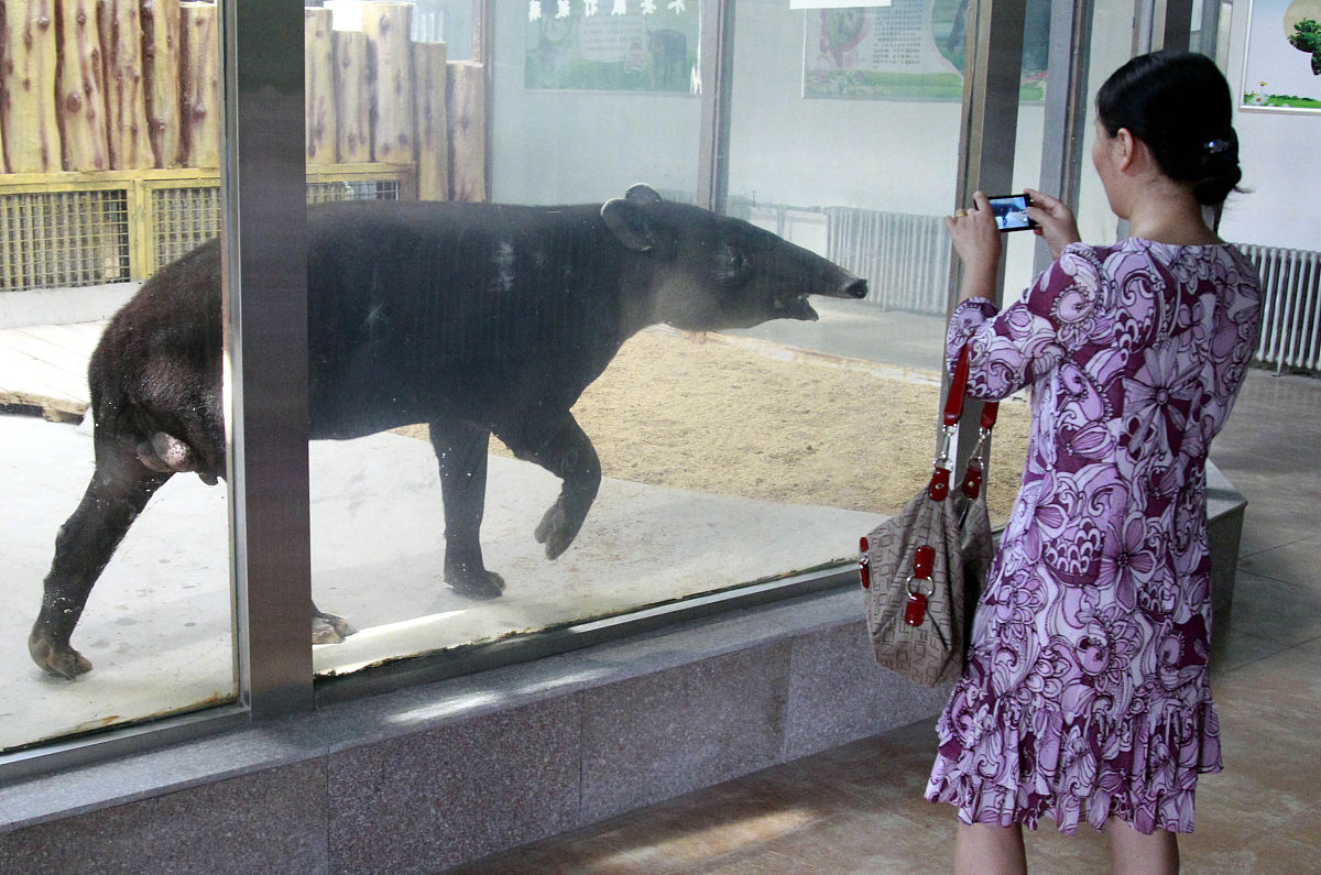 海绵宝宝有多少个孔？