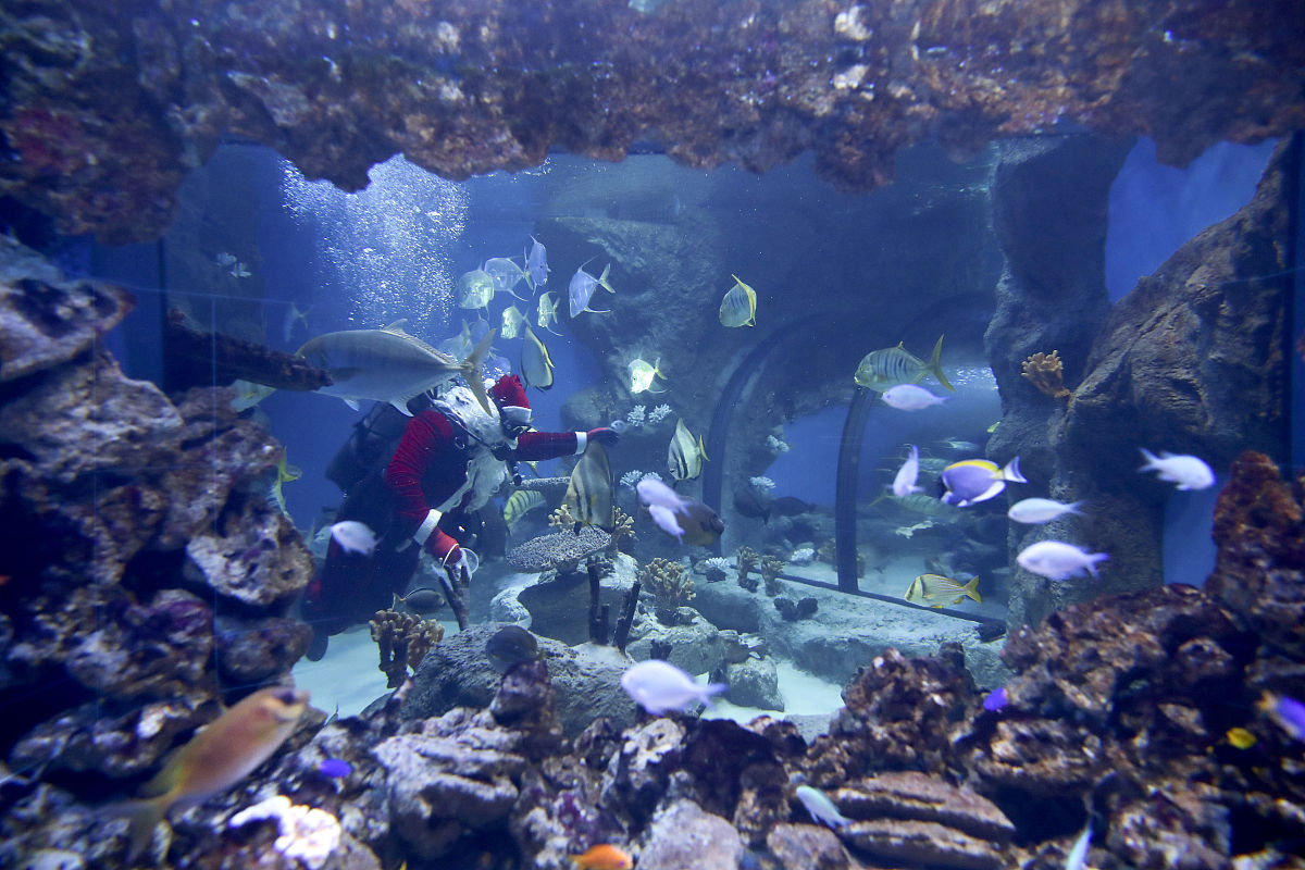 海南热带海洋学院怎么样？好不好就业呢？