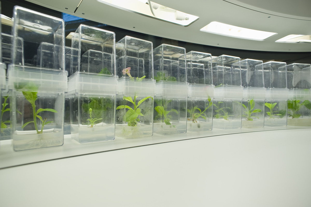 赣南医学院临床医学专业怎么样