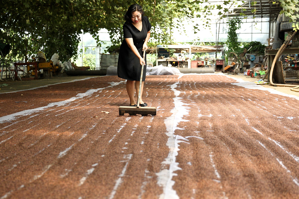 请你帮找葡萄籽软胶囊包装