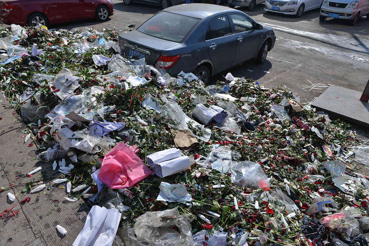 北京市容市貌投诉：改善城市环境，提升生活品质