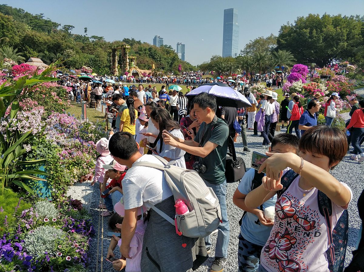 深圳五一周边有要求人流适当可以停车