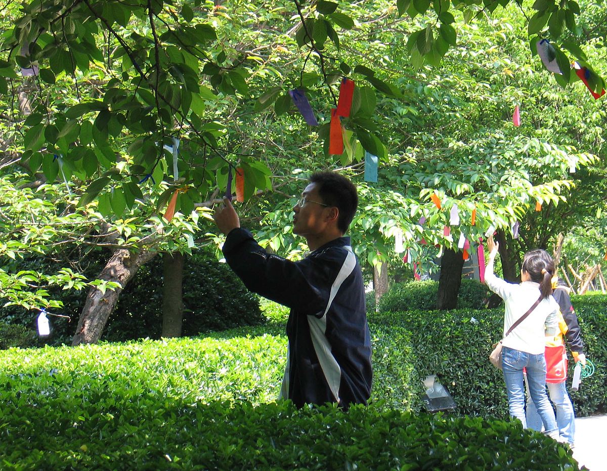 寫一封信同我遠方的媽媽講早晨. 希望佢可以過一個愉快嘅一天, 食咩都咁好食, 見乜嘢人都咁開心. 乜嘢工作都可以順利咁完成. 我在地球的另一邊都會努力過呢一日