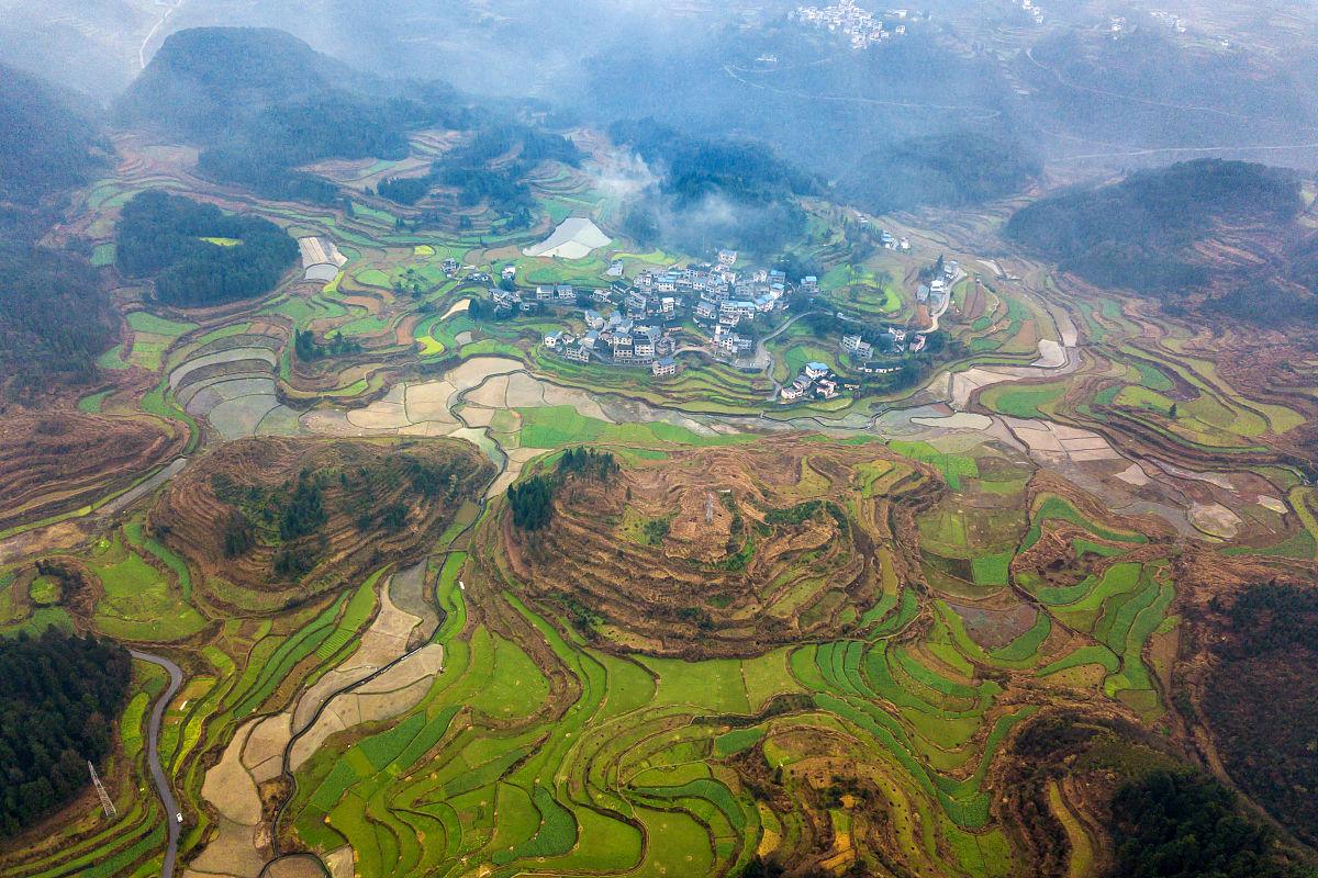 2023年乡镇干部乡村振兴调研报告