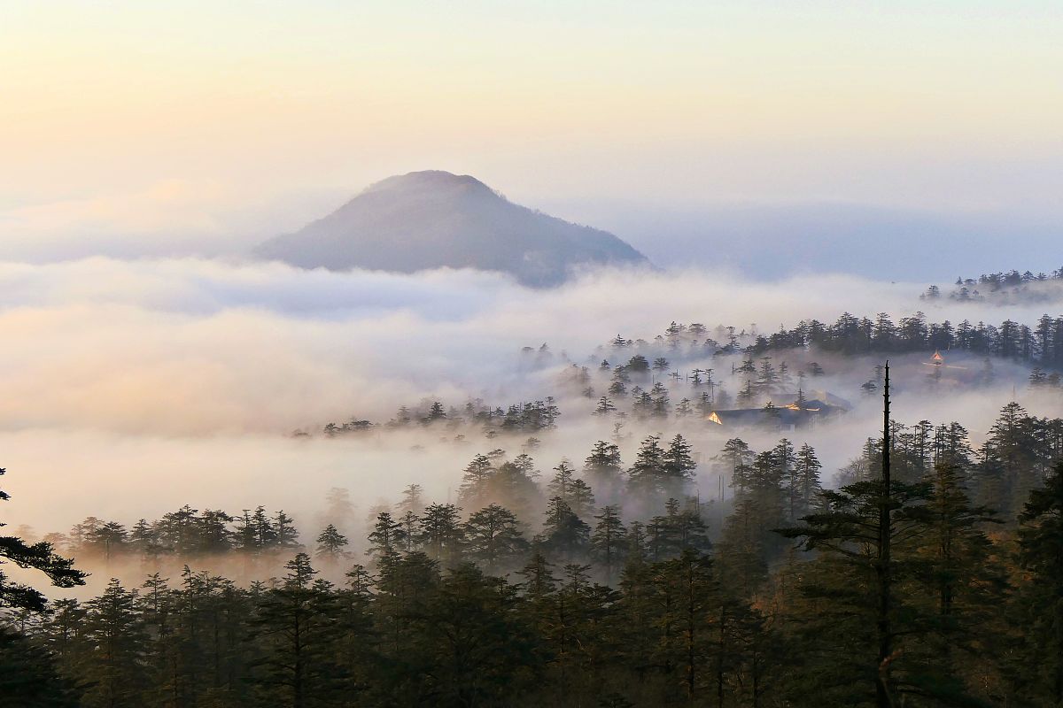 峨眉山市旅游学校招生办联系电话、地址