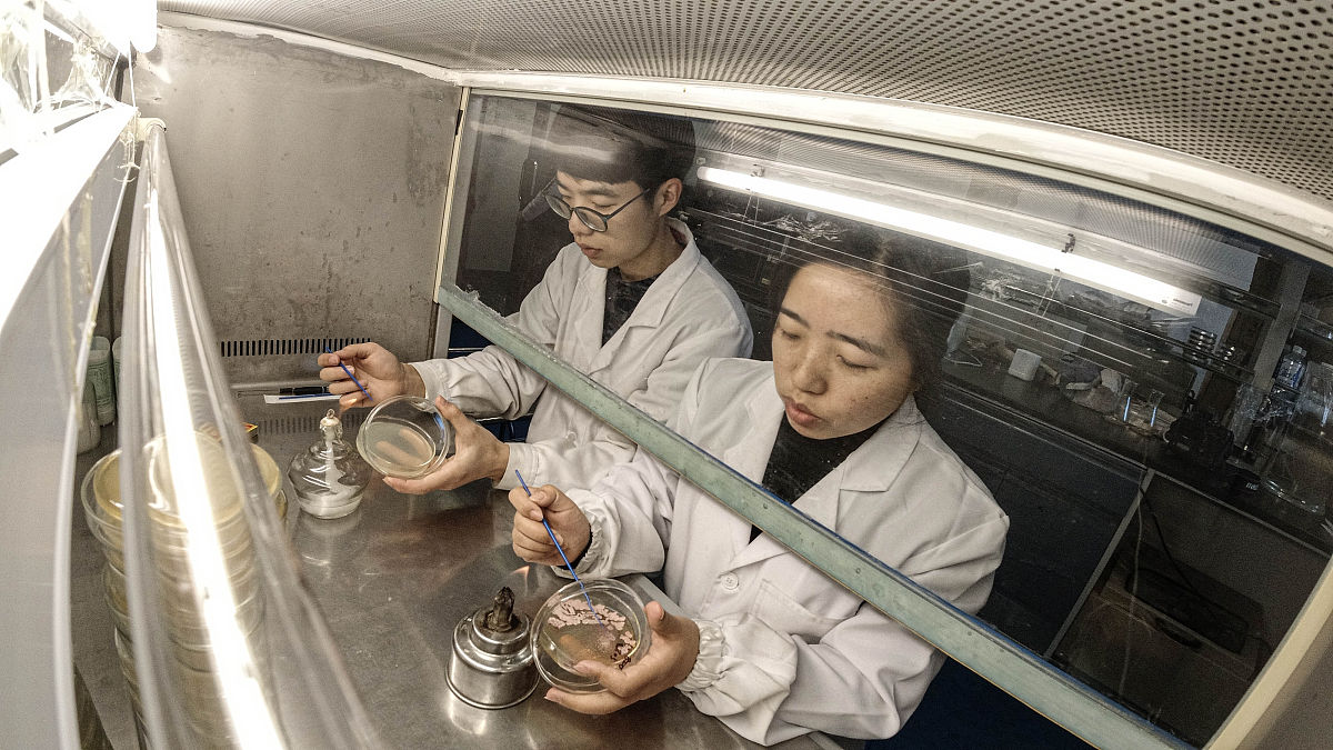 本课题需要重点研究的关键的问题及解决的思路这个怎么写