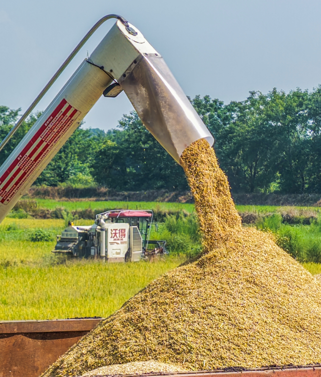 粮仓项目：保障粮食安全、促进农业发展、提升国家实力