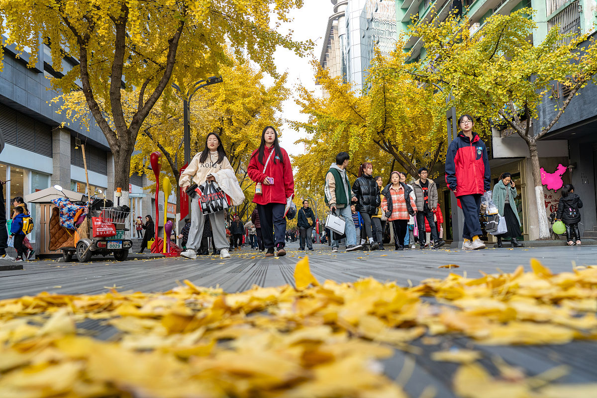 浙江商业技师学院2022年招生条件及专业人数-招生简章
