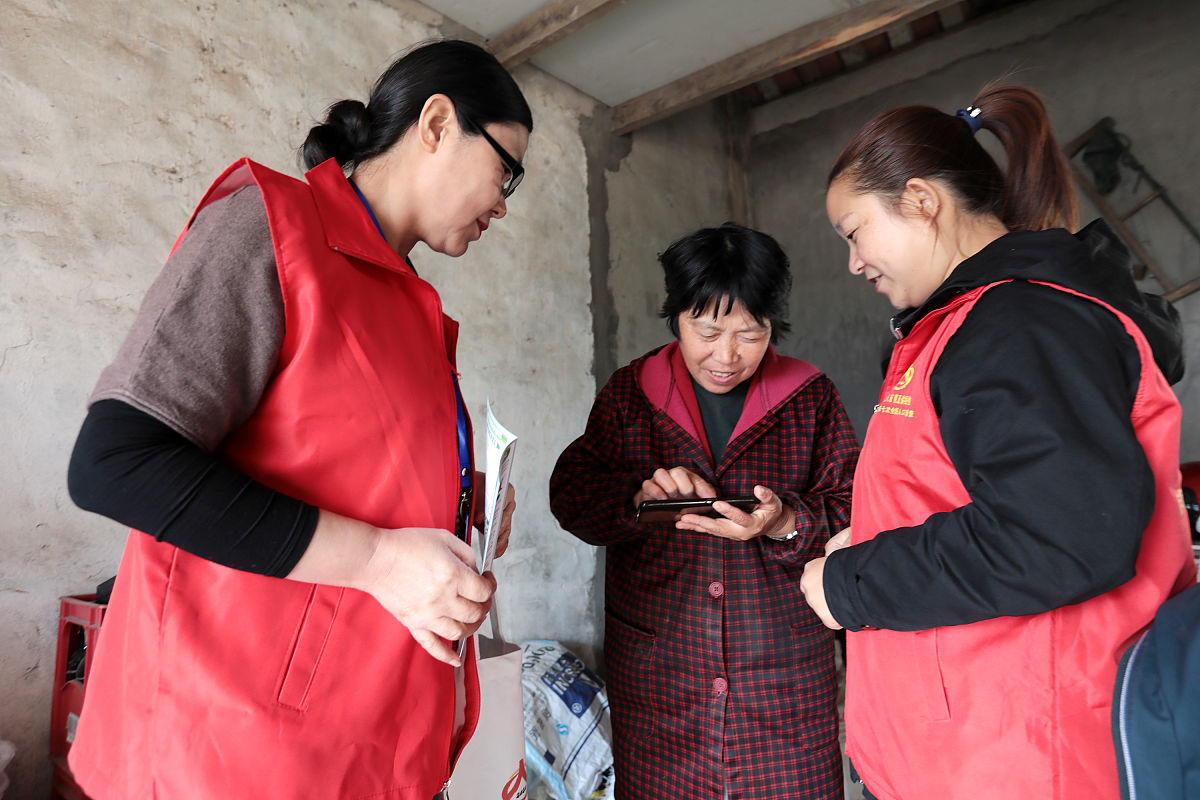 1980年岳池县人口数量 - 约87万人