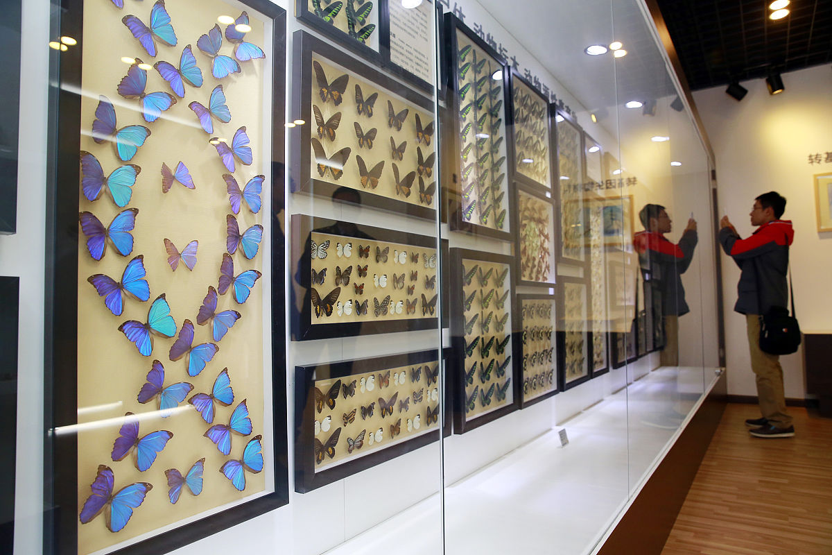 桂林医学院卫生检验与检疫专业如何好学吗