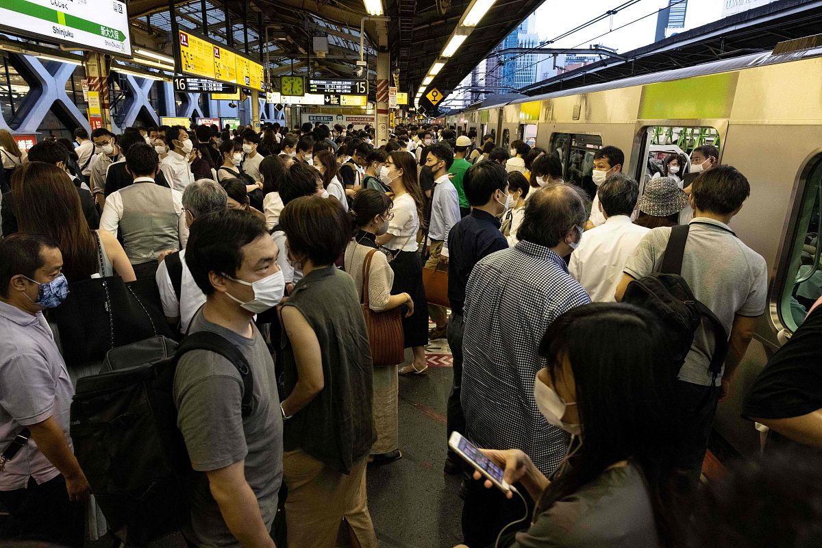贵州农业广播电视学校现代农艺技术专业就业方向及前景分析