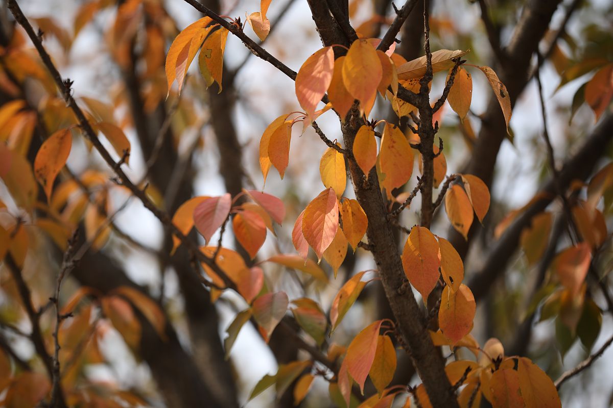 山东省五莲县卫生职业中等专业学校地理位置优越，交通便利！