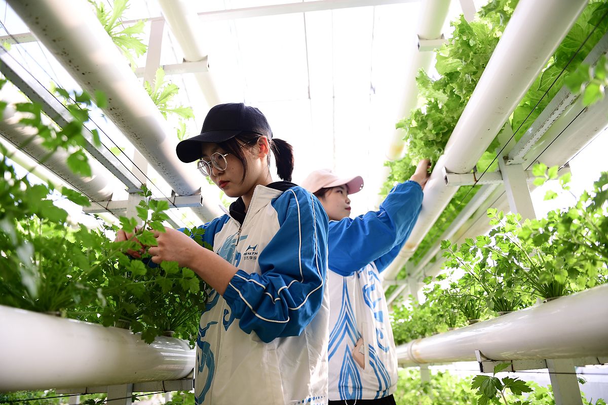 阜南农林科技学校2021年招生简章