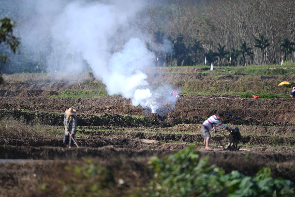2019年2月15日,在海南白沙黎族自治县,农民春耕前燃烧秸秆,田间浓烟弥