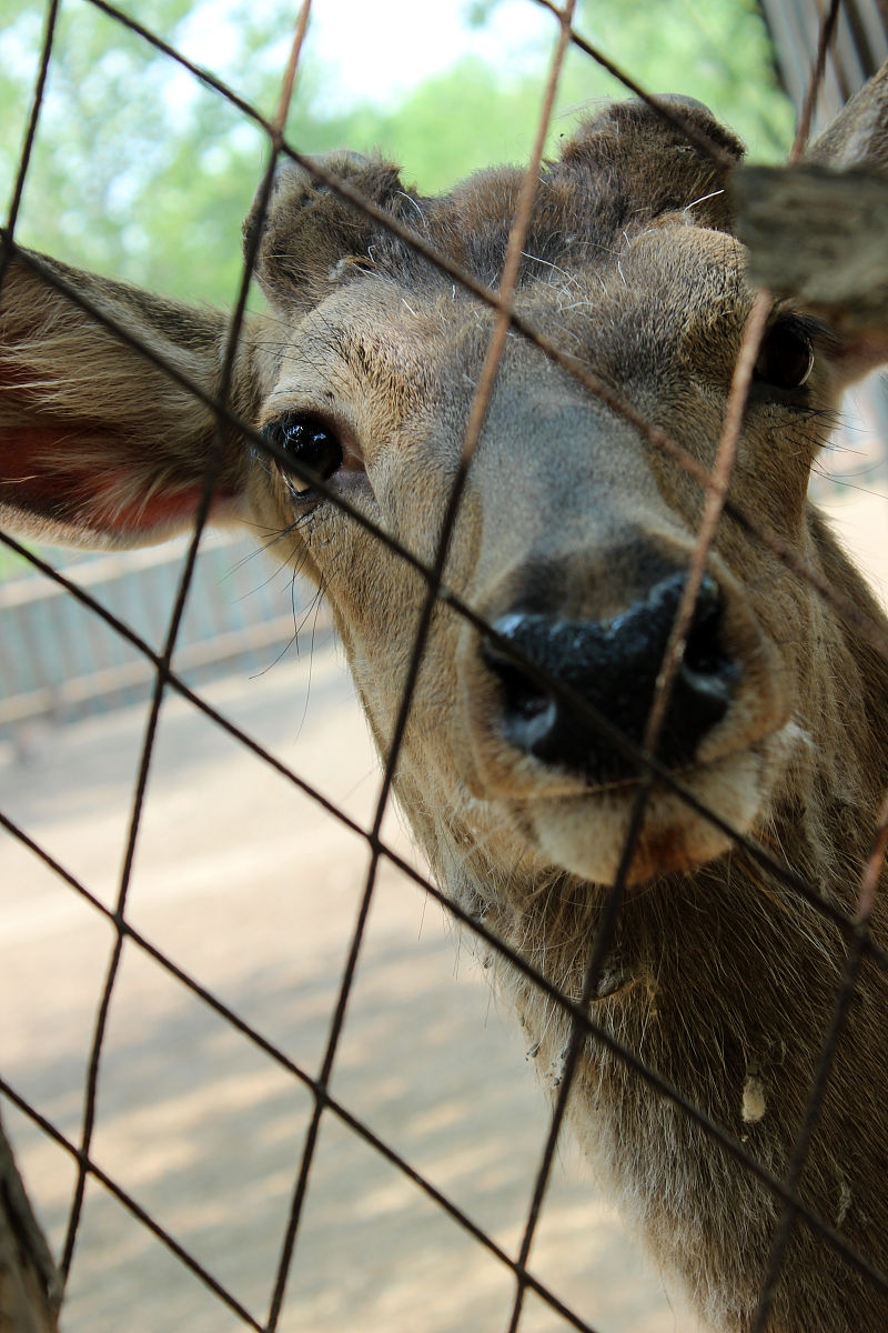 vivo手机刷机后数据丢失？如何恢复数据？