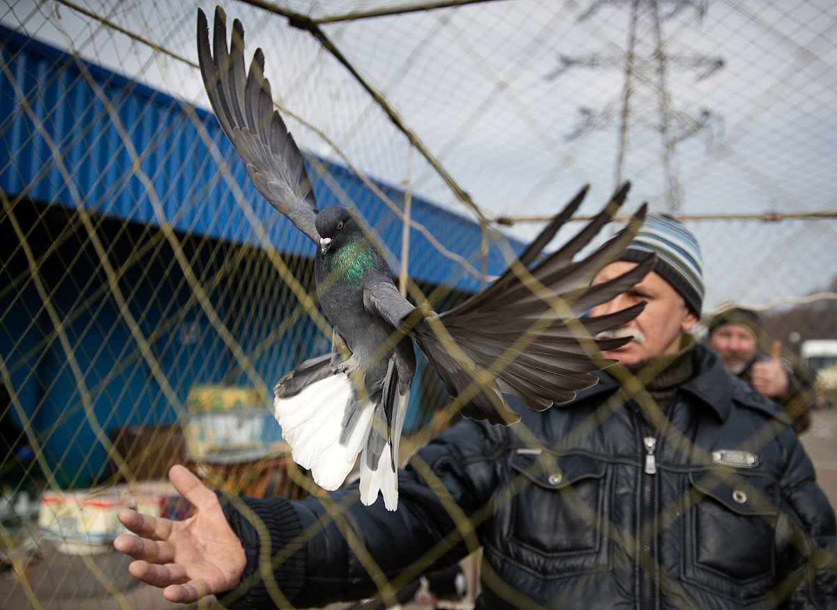 江西外语外贸职业学院国际商务专业好就业吗