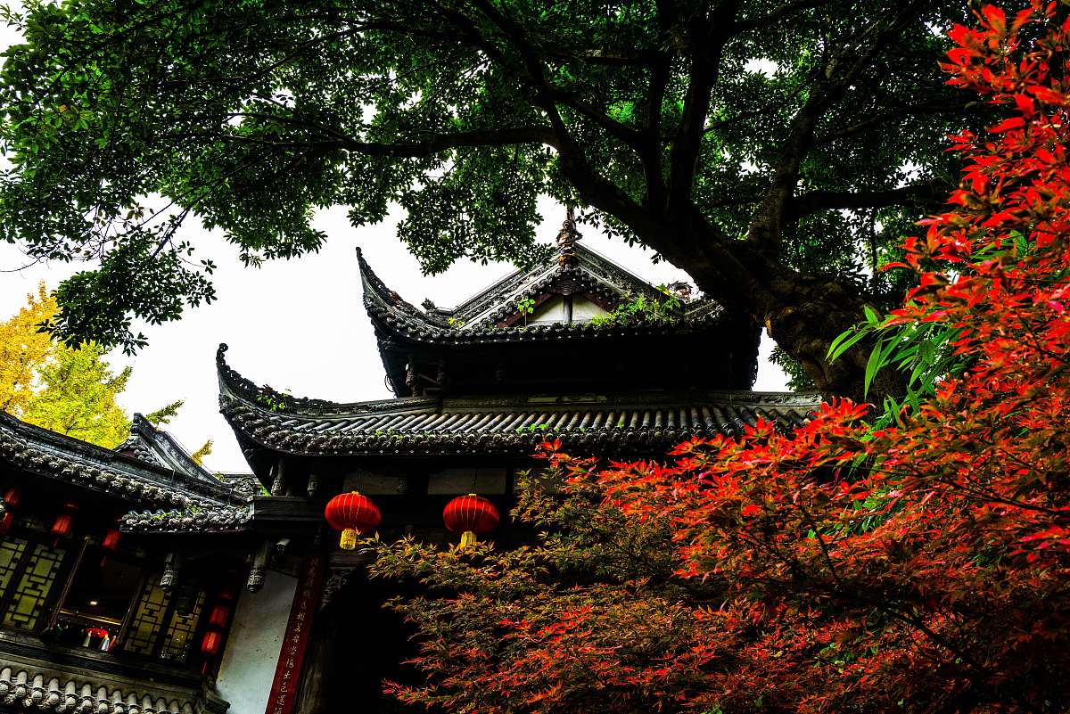 成都航空旅游职业学校地址及交通路线-招生简章