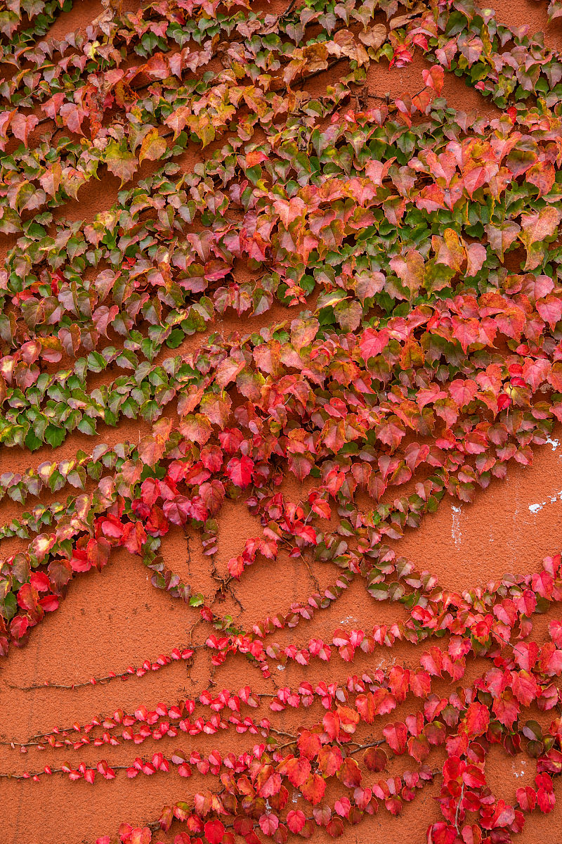 重庆兴渝职业中等专业学校手机维修专业：课程介绍、招生对象及行业前景
