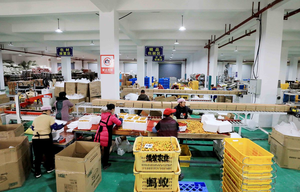 广西银行学校电子商务专业就业前景分析：未来发展趋势与就业方向