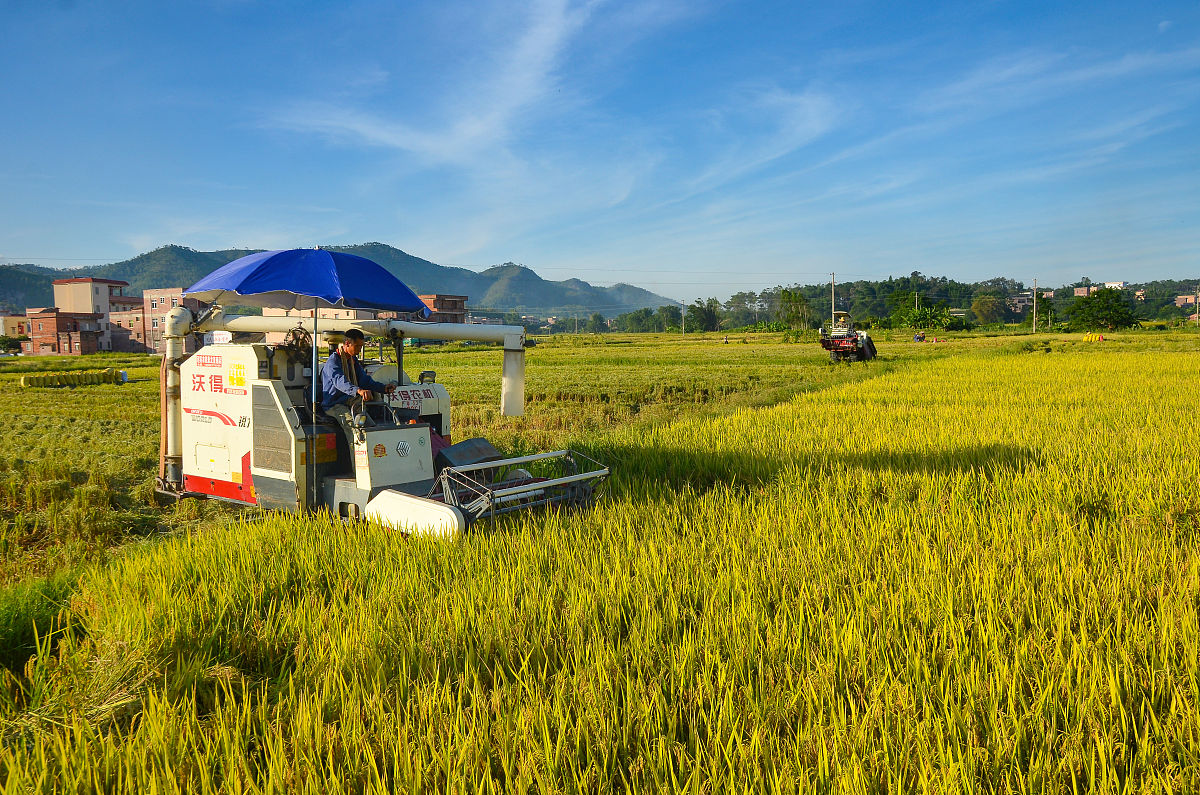 罗定中等职业技术学校2022年招生简章怎么样