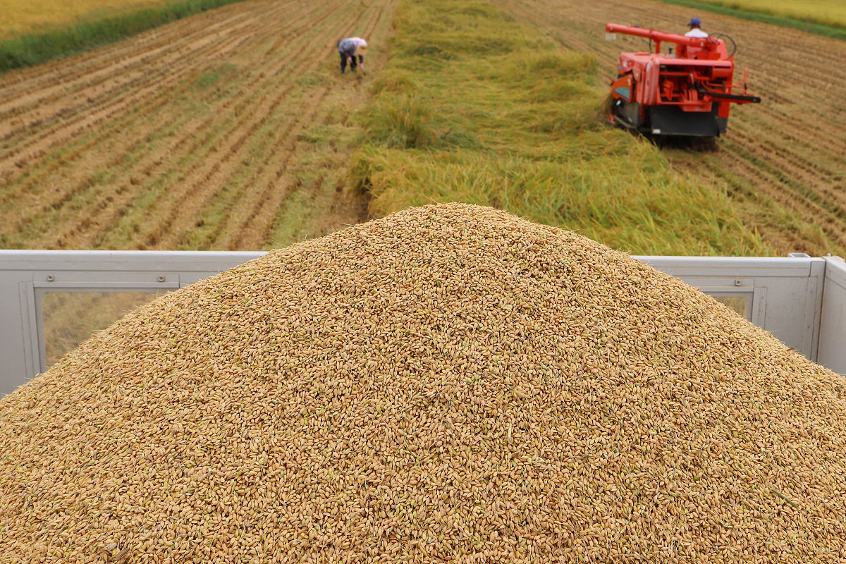 曲靖农业技术学校2019年五年制专业招生简章