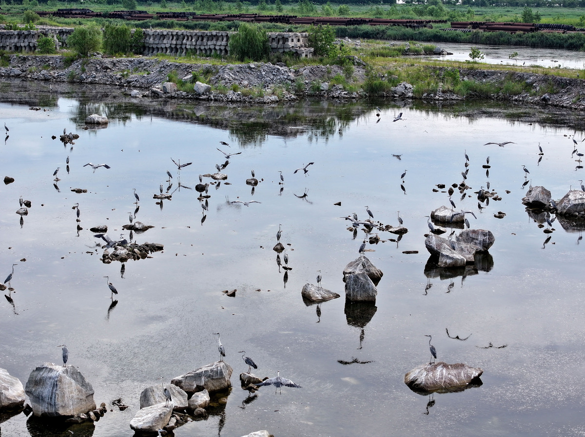 生物栖息地空间
