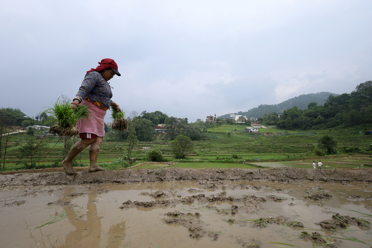 老吴的故事：勤劳与希望的象征