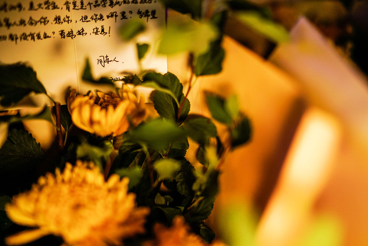 不要忽视每一个今天好好生活慢慢相遇是啥意思