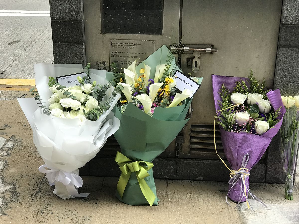 桔梗花送谁？寓意解析，送礼指南！