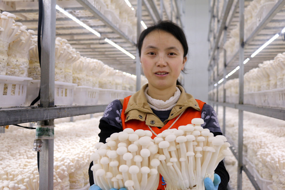 连云港生物工程中等专业学校畜禽生产与疾病防治专业就业前景分析