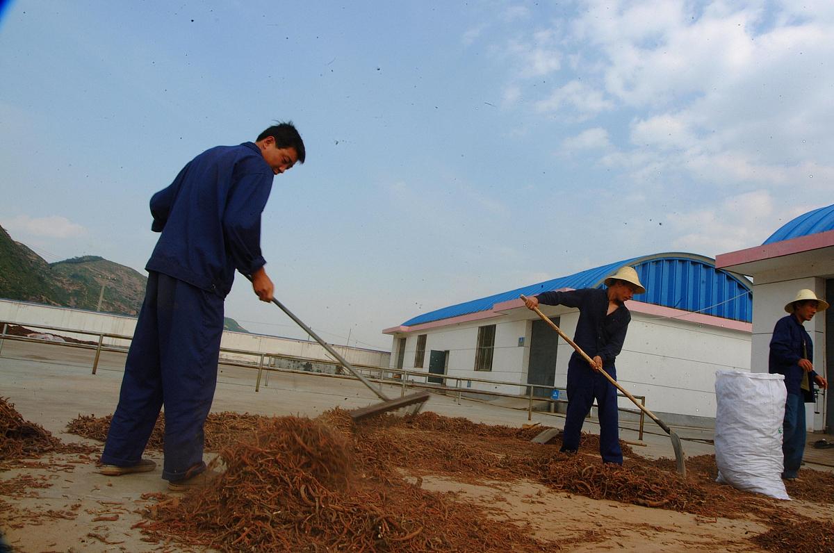 宜良县职业高级中学现代农艺技术专业怎么样？培养现代农业人才的摇篮