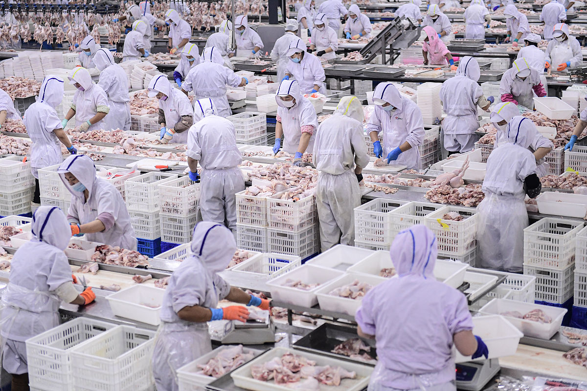 基于全产业链的肉鸡公司发展模式研究：局限性分析