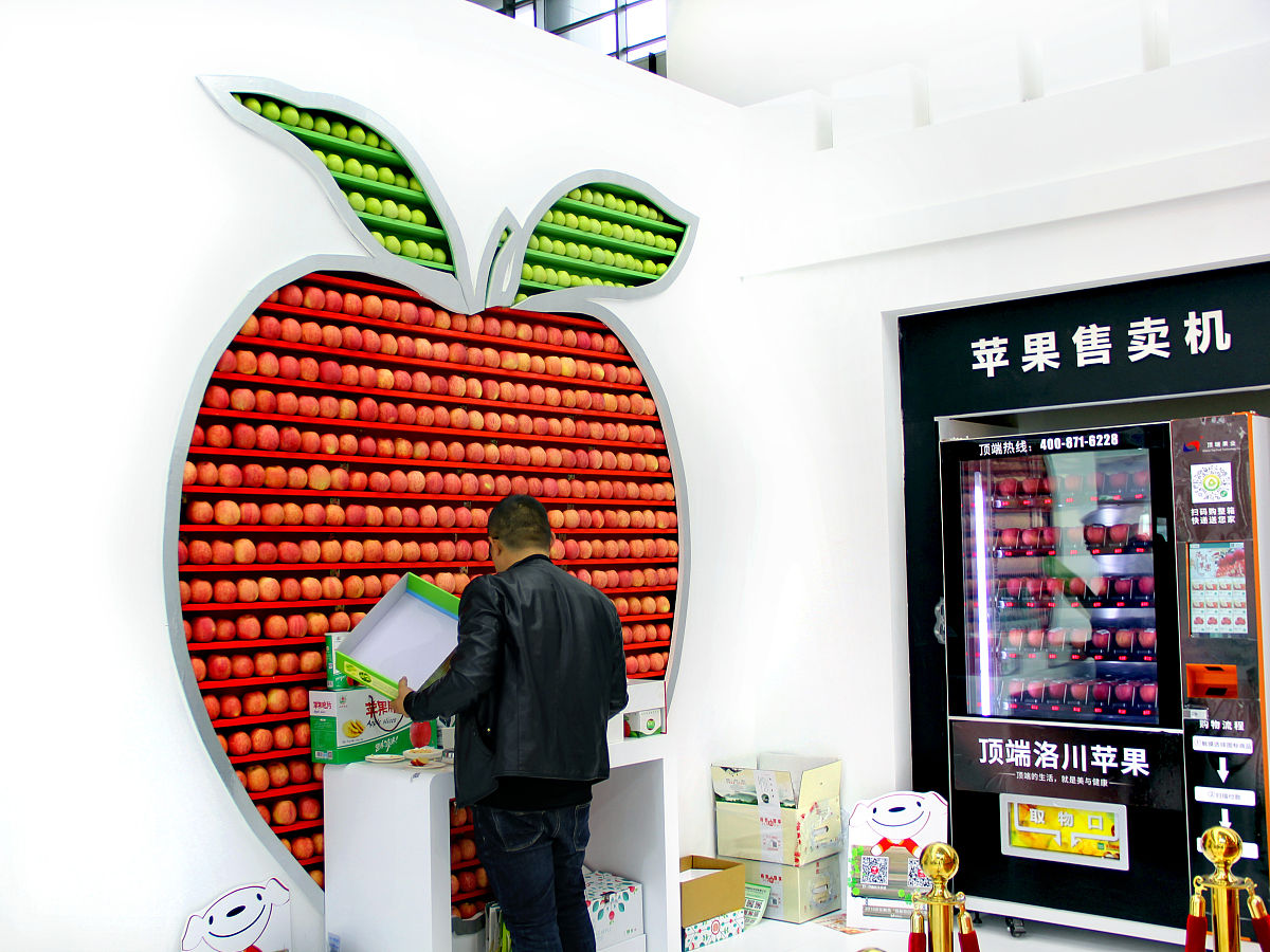 新时代青年如何主动参与国家建设举出具体事例