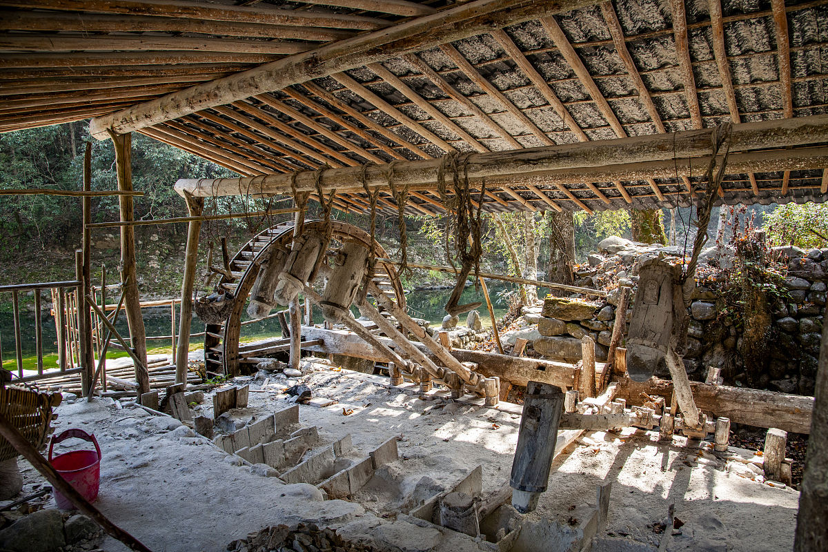 江西陶瓷工艺美术职业技术学院有高铁乘务专业吗？