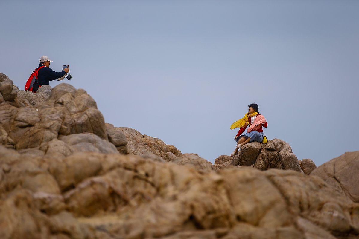 浙江旅游职业学院旅行社经营管理专业课程设置有哪些
