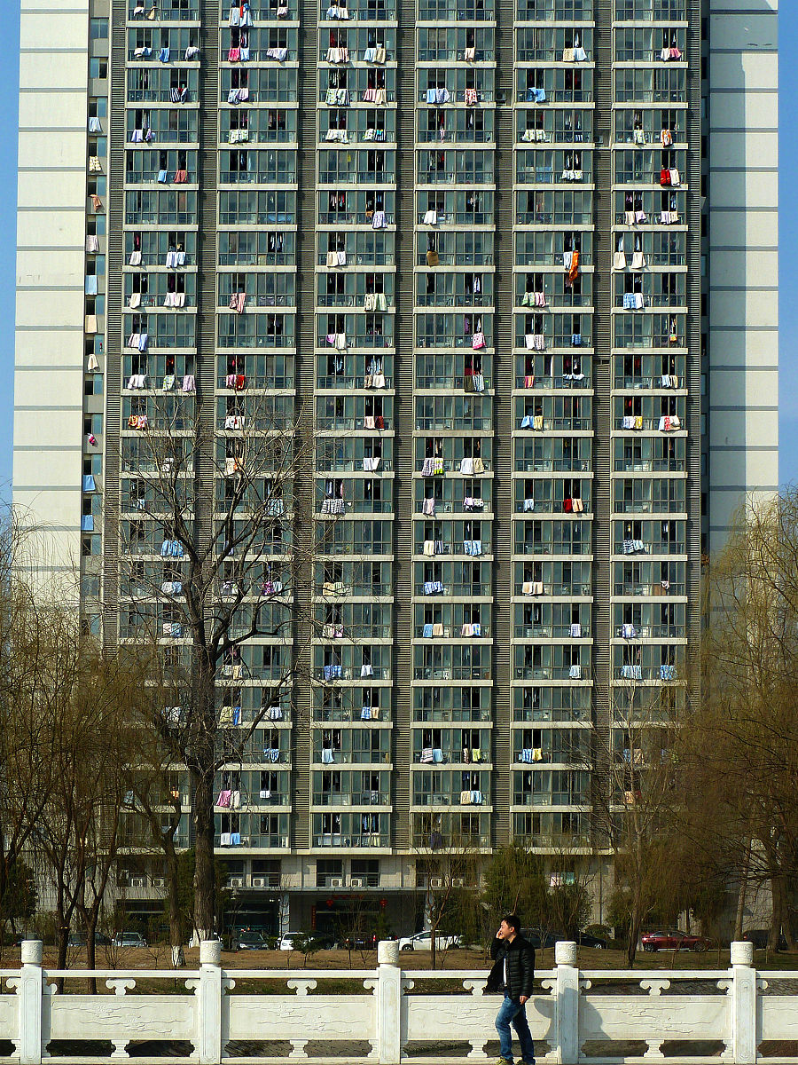 南京林业大学研究生探究文旅产业与城市形象：助力城市发展与旅游繁荣