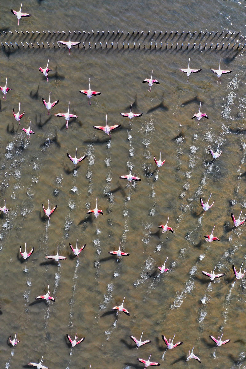 高中生LINE群聊天日常：掌控自然，这波什么操作？