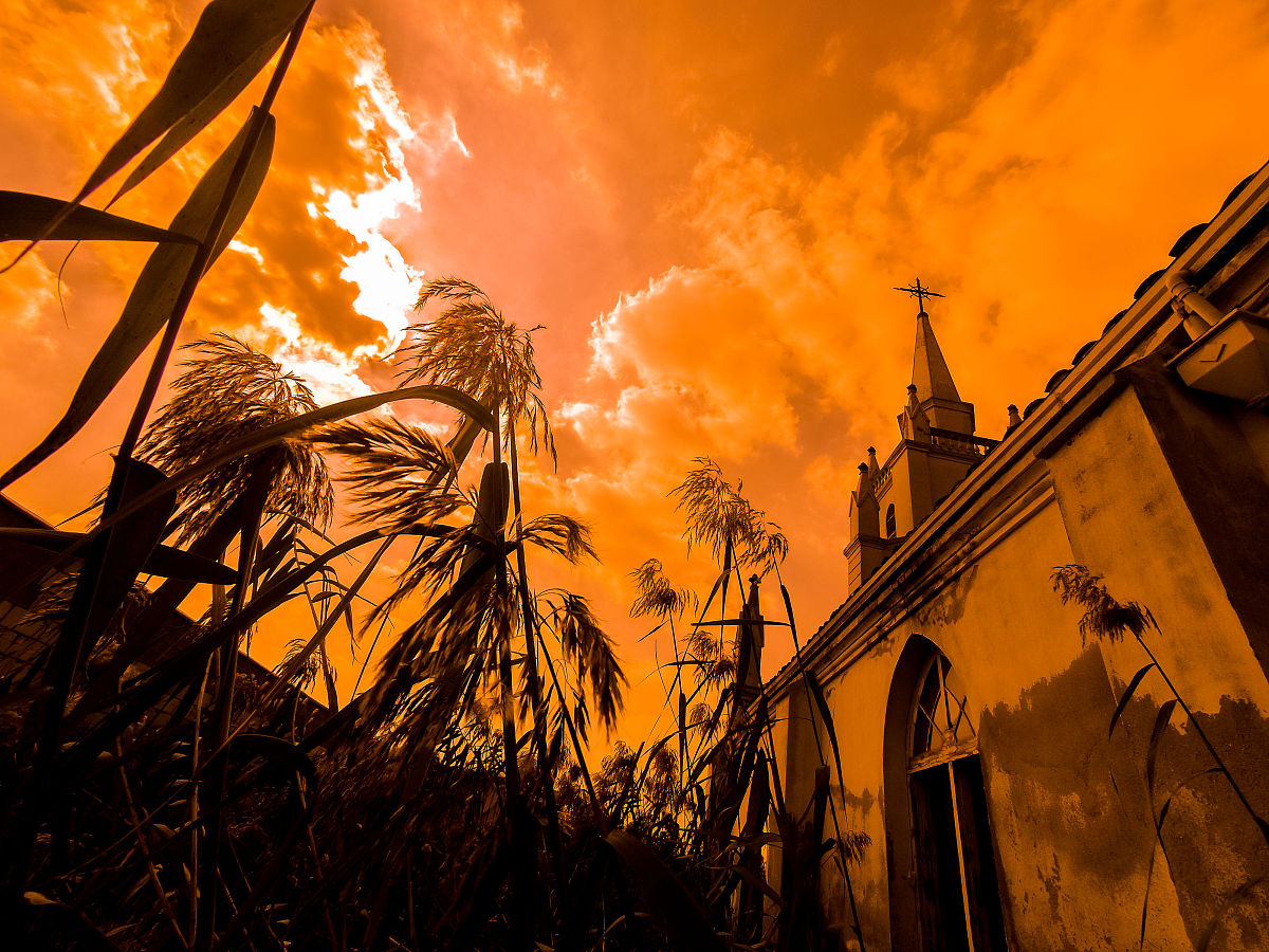 为什么有些研究适用调查法，有些研究则更适合参与观察?哪些因素会影响这种选择?