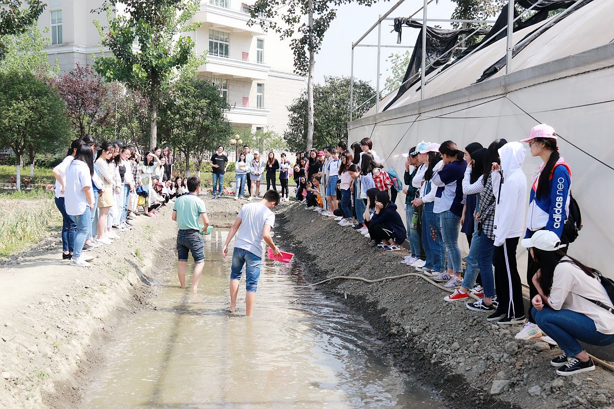 四川2021年电子商务学校比较好的大专学校