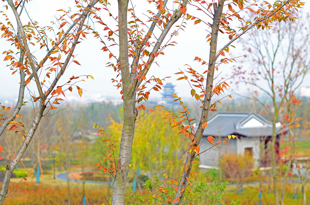 重庆园林技工学校联系电话 - 咨询招生、课程及联系方式