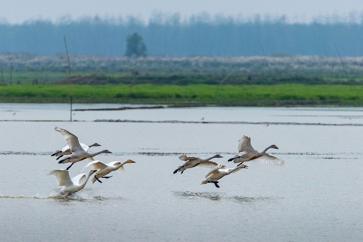 益阳财务会计学校2022年招生简章 - 报名进行中！